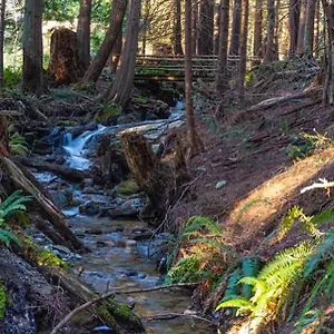 forest-haven-hideaway.vancouver-hotels-bc.net/
